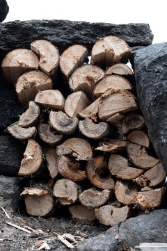 BWCA firewood