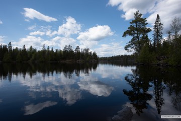 Bald Eagle Lake BWCA campsite