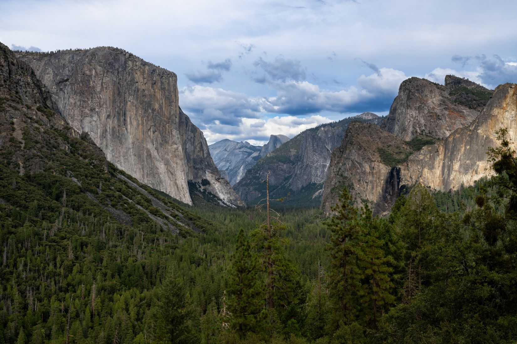 Yosemite Tunnel View