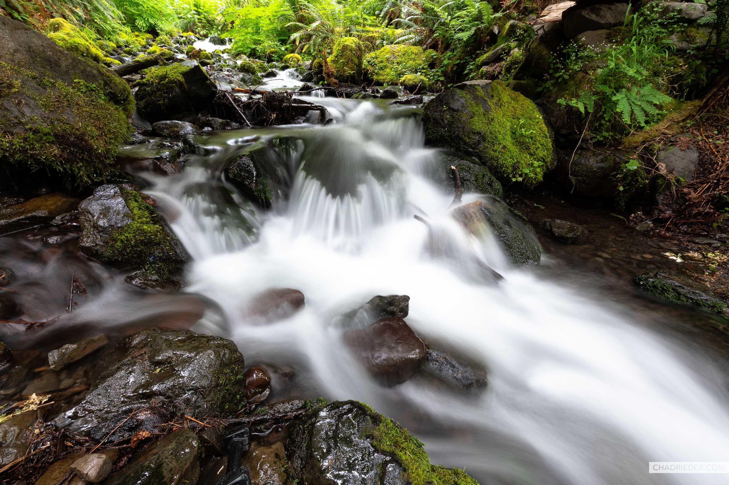 Hoh Rainforest Waterfall