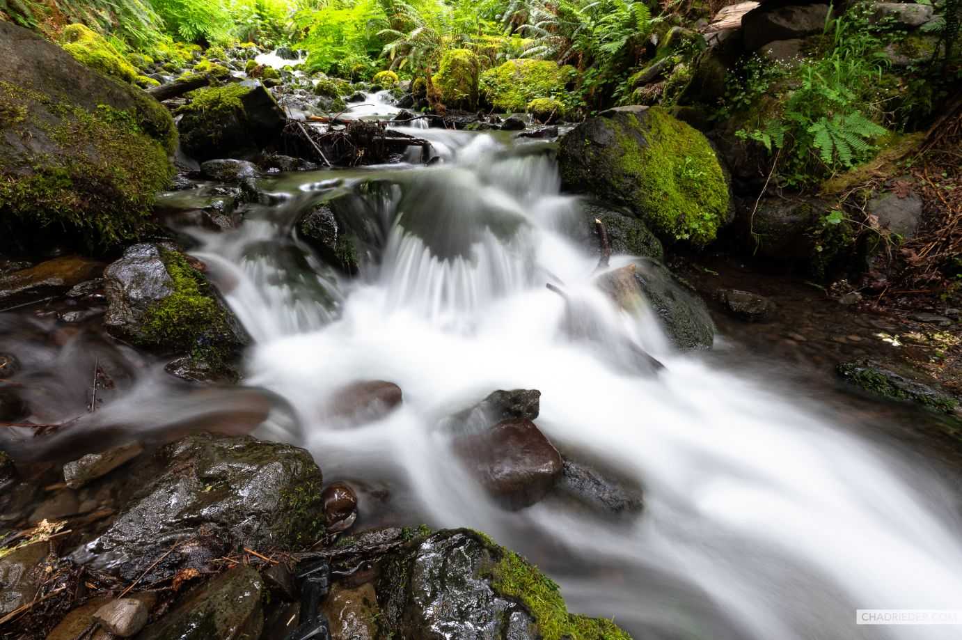 Hoh Rainforest waterfall