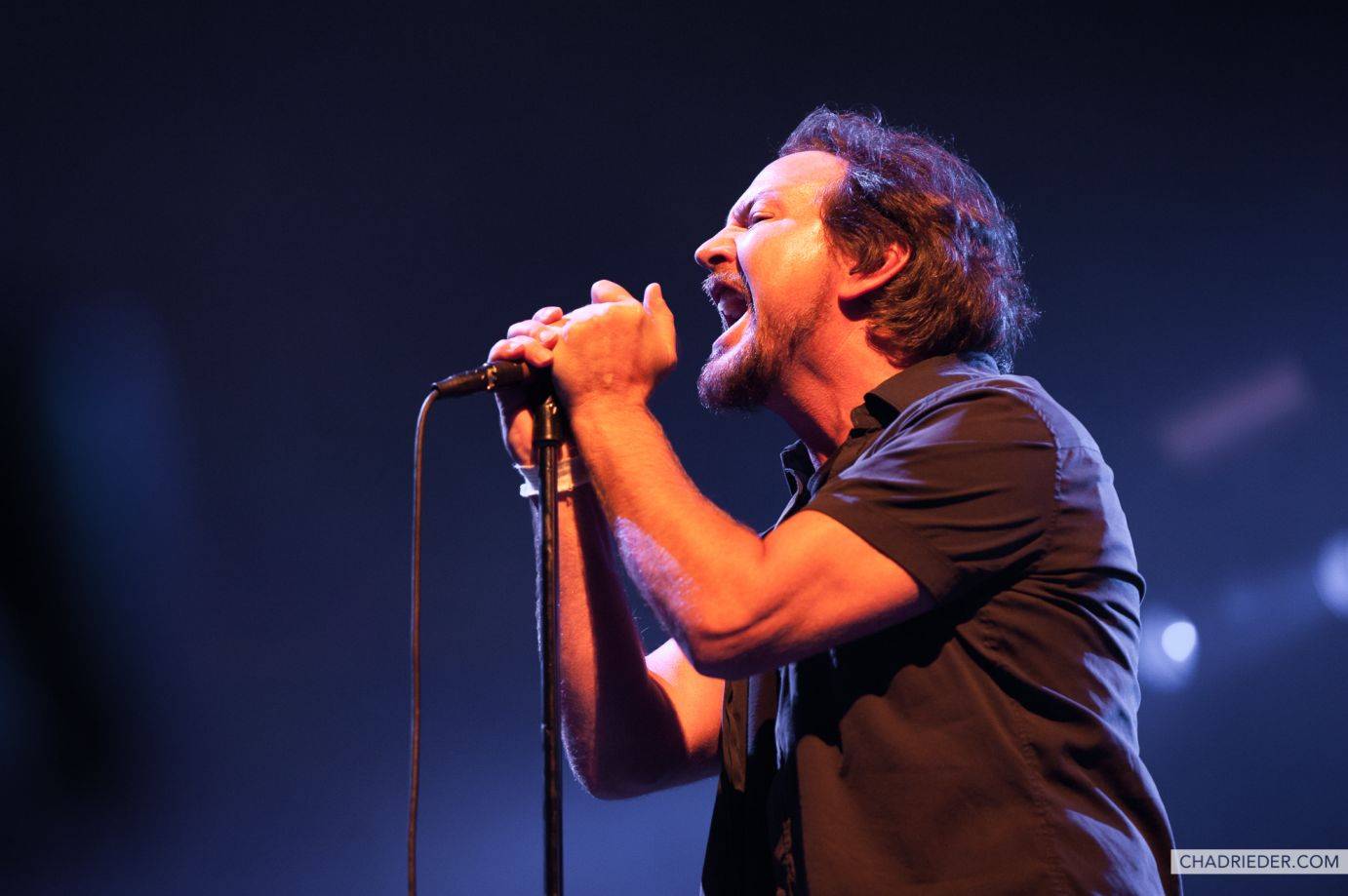 Pearl Jam Xcel